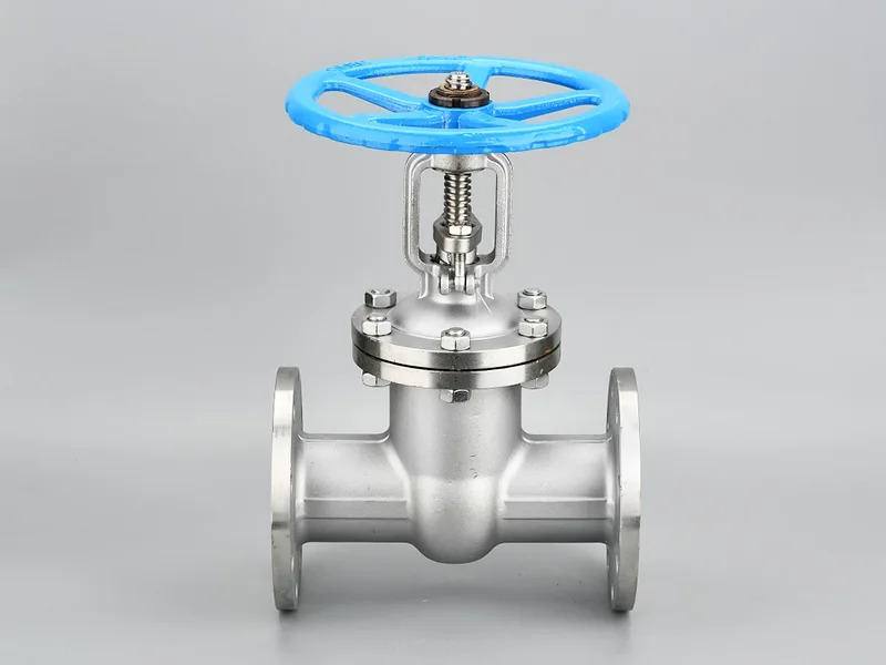 What is a stainless steel gate valve?