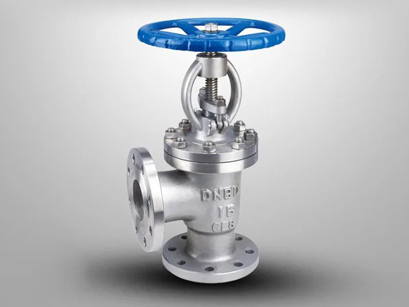 What is a stainless steel globe valve?